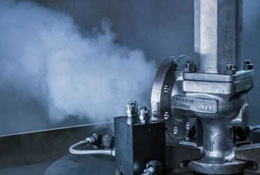 LESER Safety valves Safety valves from LESER