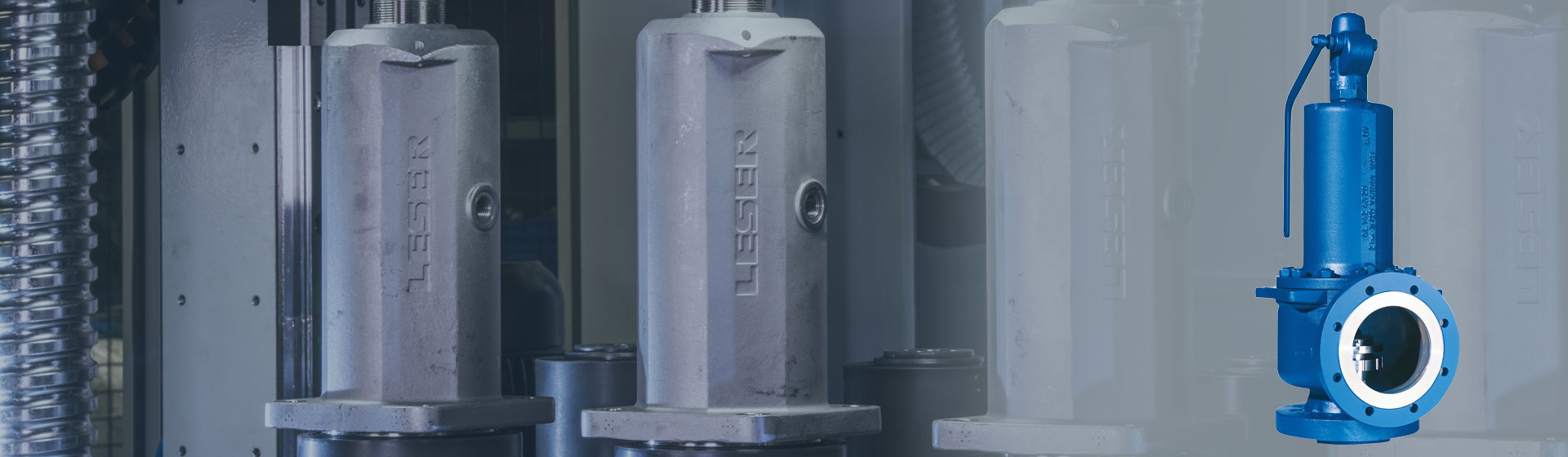 API Safety Valve from LESER