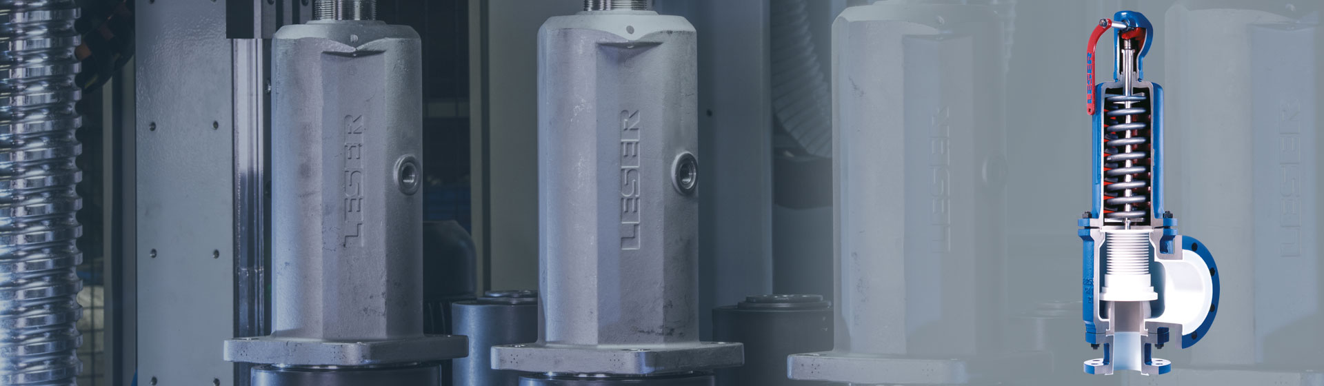 Critical Service Safety Valve from LESER