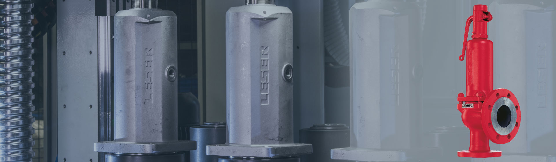 S&R Sicherheitseventil von LESER