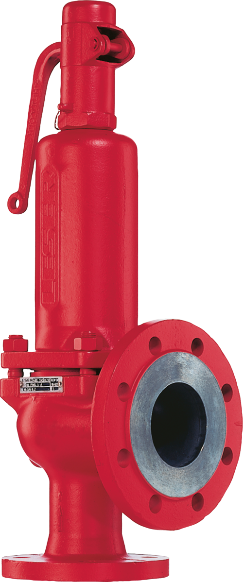 S&R Sicherheitseventil von LESER