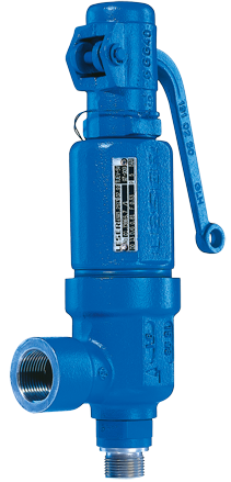 LESER S&R Safety Valve Type 460