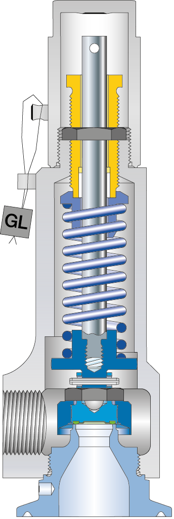 LESER Clean Service Safety Valve Type 481 Cutting image