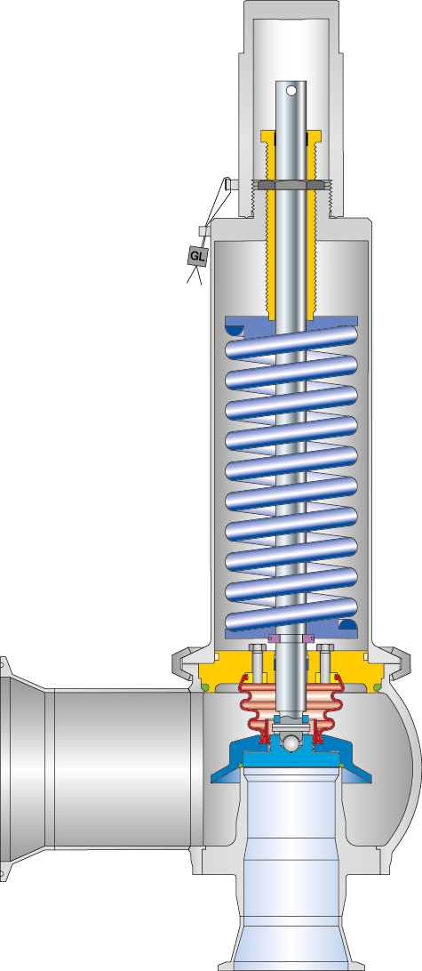 LESER Clean Service Safety Valve Type 488 Cutting image