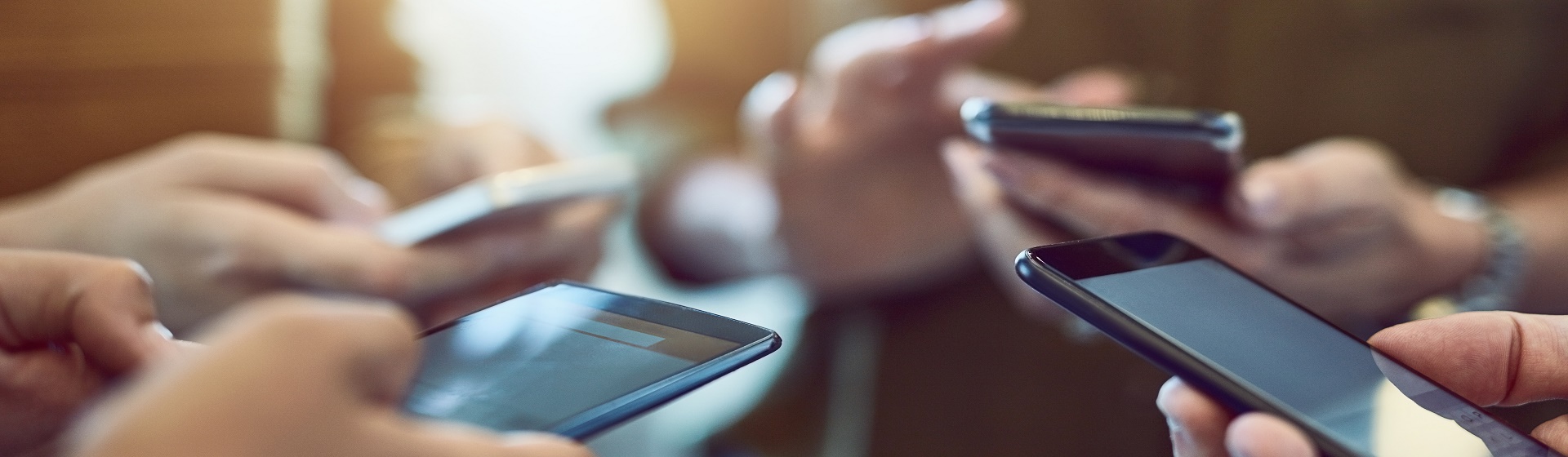 Download Area of LESER