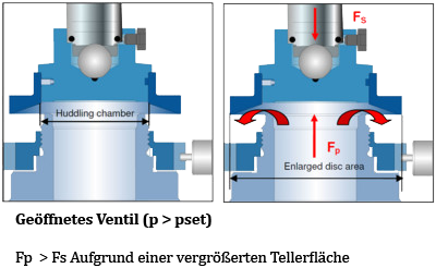 Funktion federbelastetes Sicherheitsventil