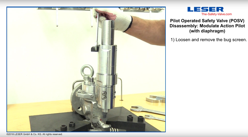 Demontage Modulate Action Pilot Membranausführung