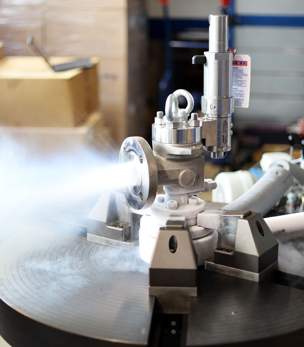 Cryo functional test safety valve